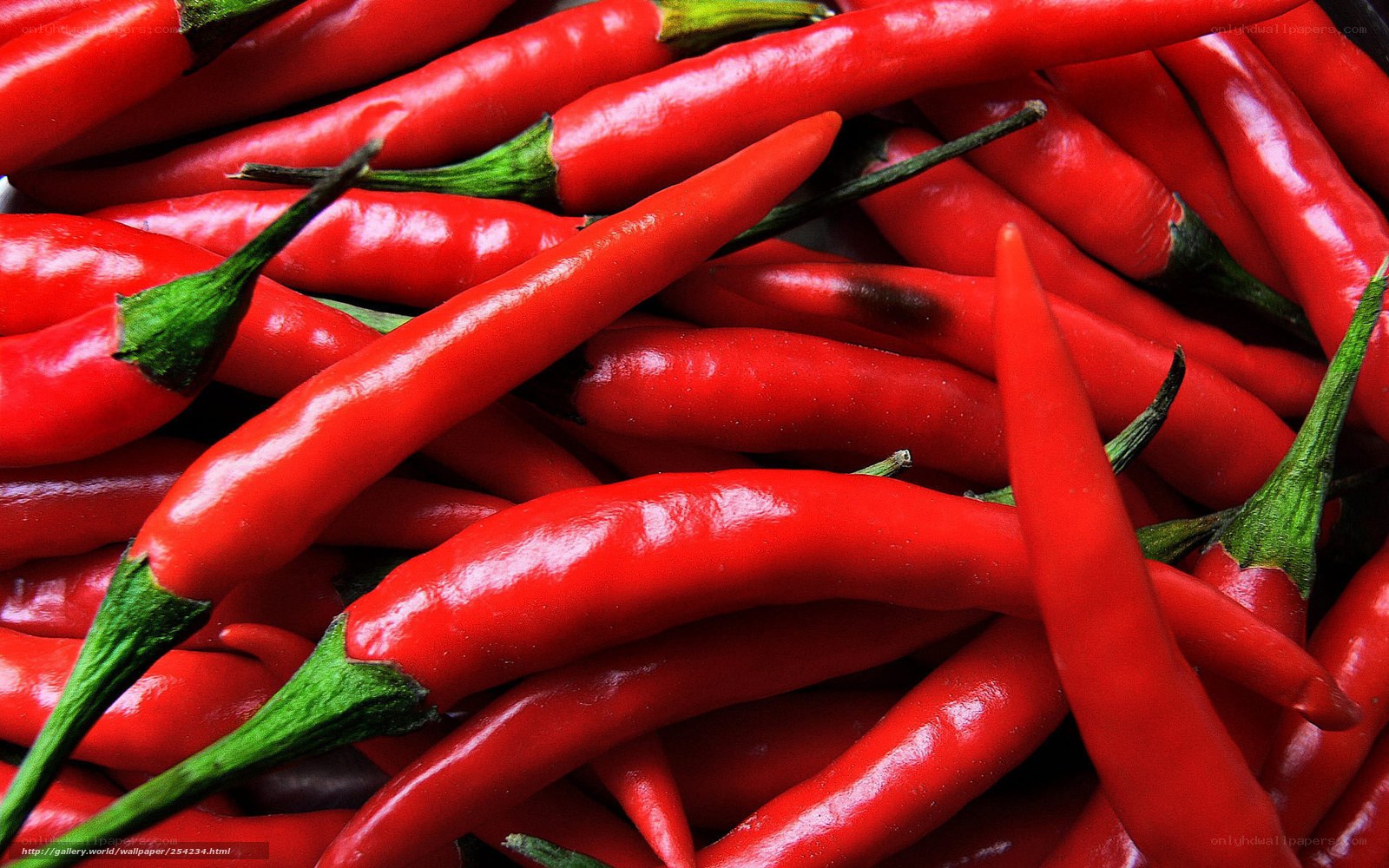 Fresh red chili peppers