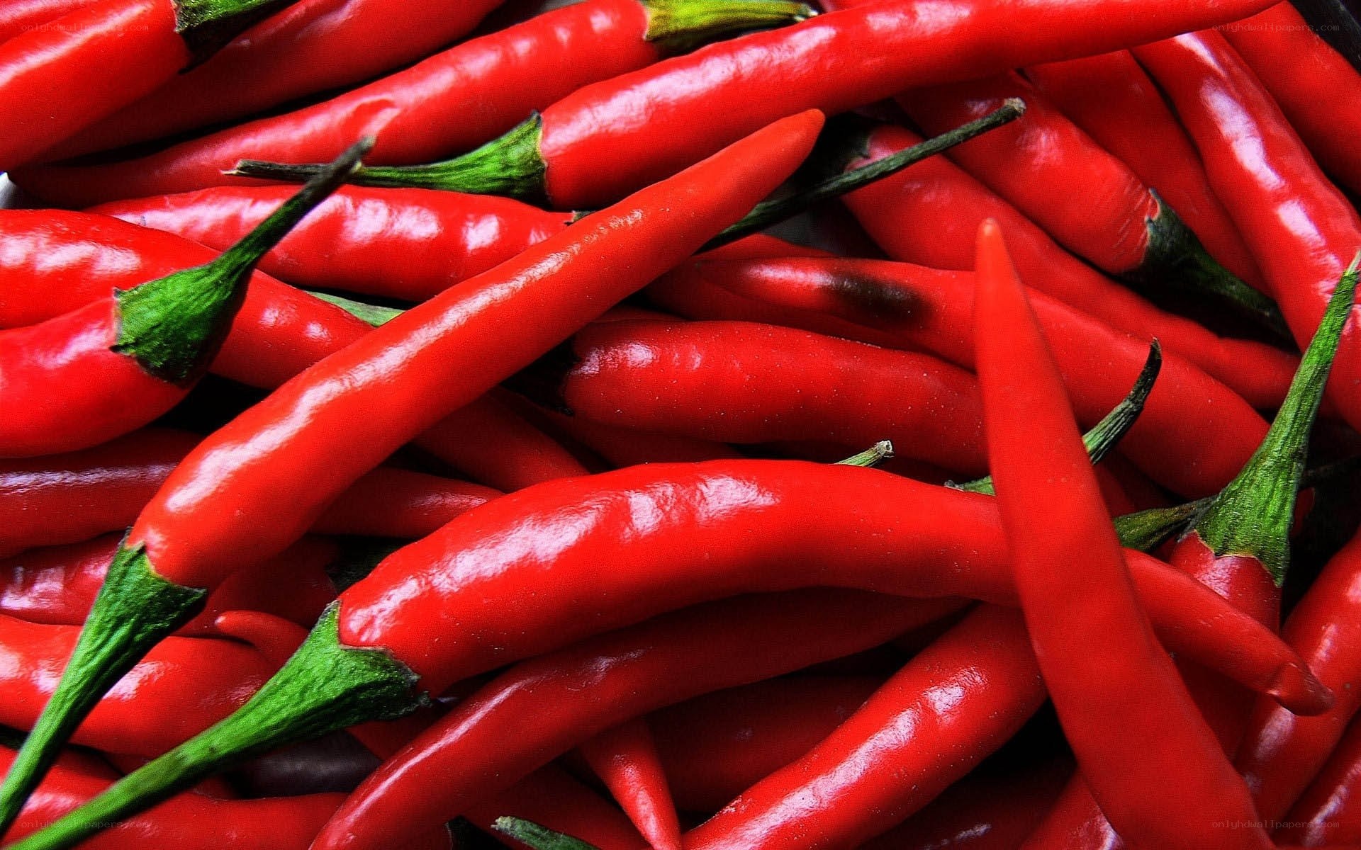 Fresh red chili peppers