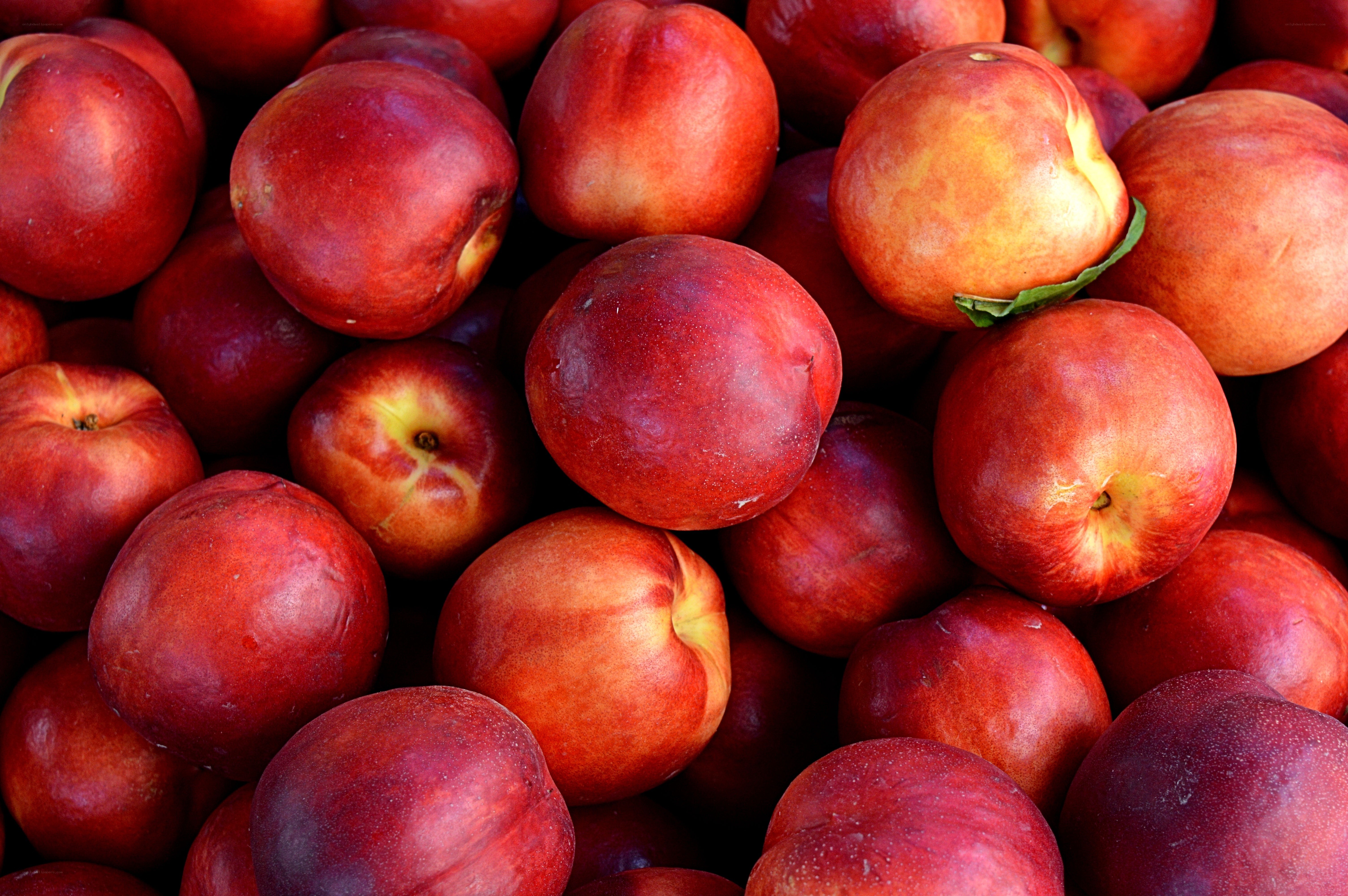 Fresh red nectarines in a pile