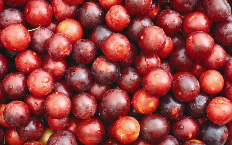 Fresh red plums