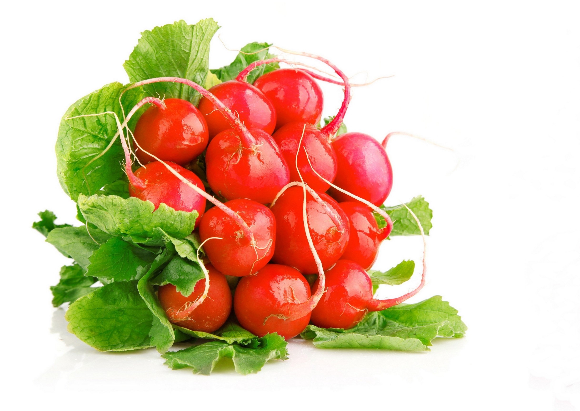 Fresh red radishes with greens