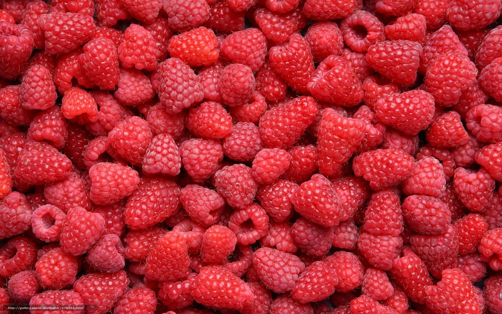 Fresh red raspberries