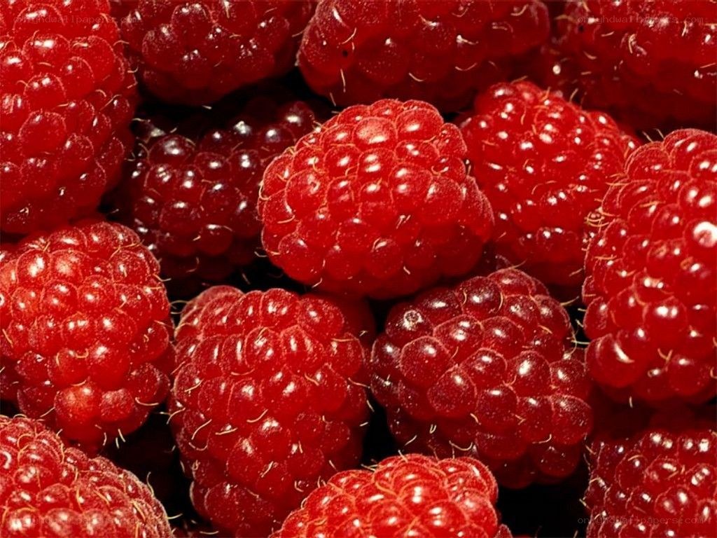 Fresh red raspberries