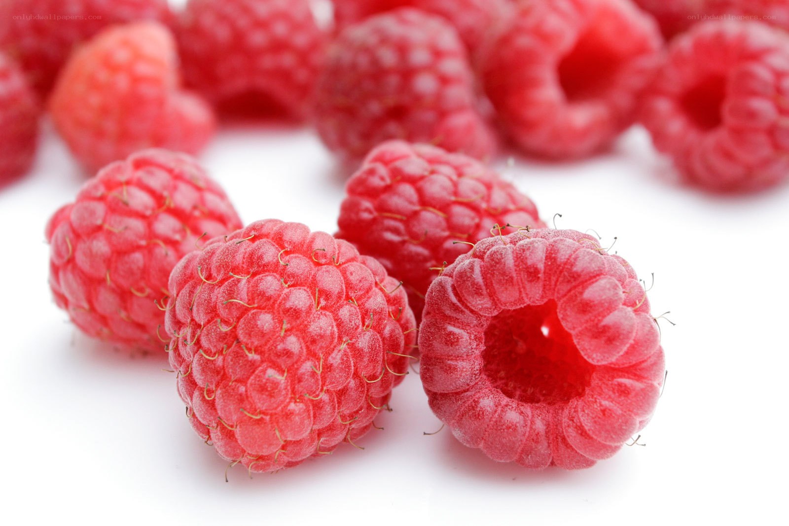 Fresh red raspberries
