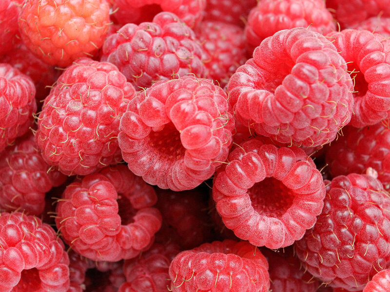 Fresh red raspberries