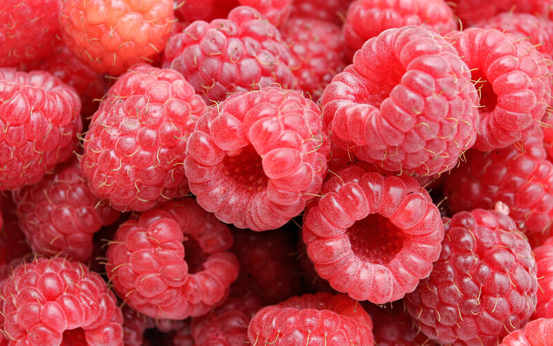 Fresh red raspberries