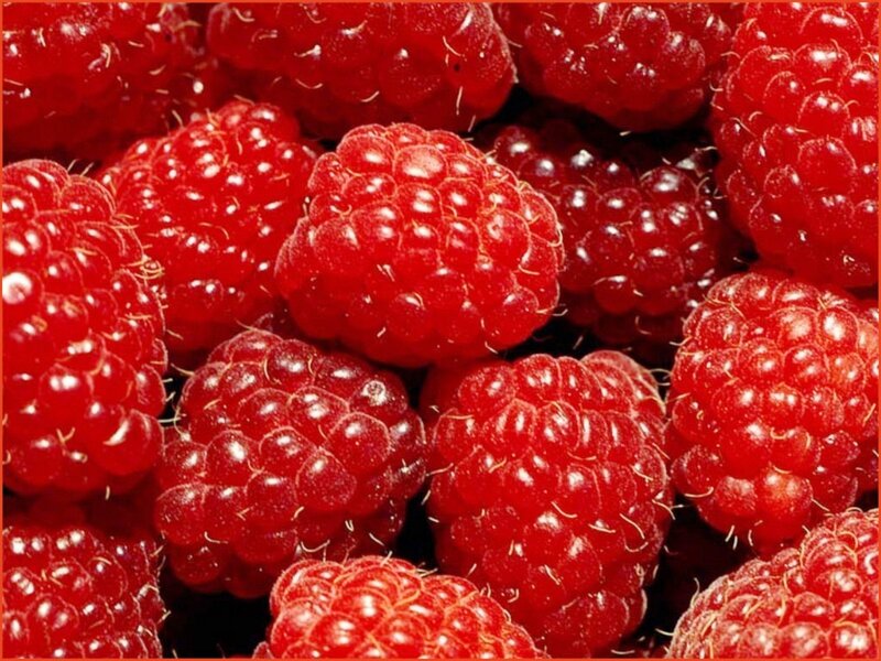 Fresh red raspberries