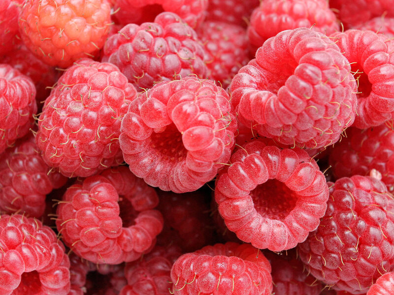 Fresh red raspberries
