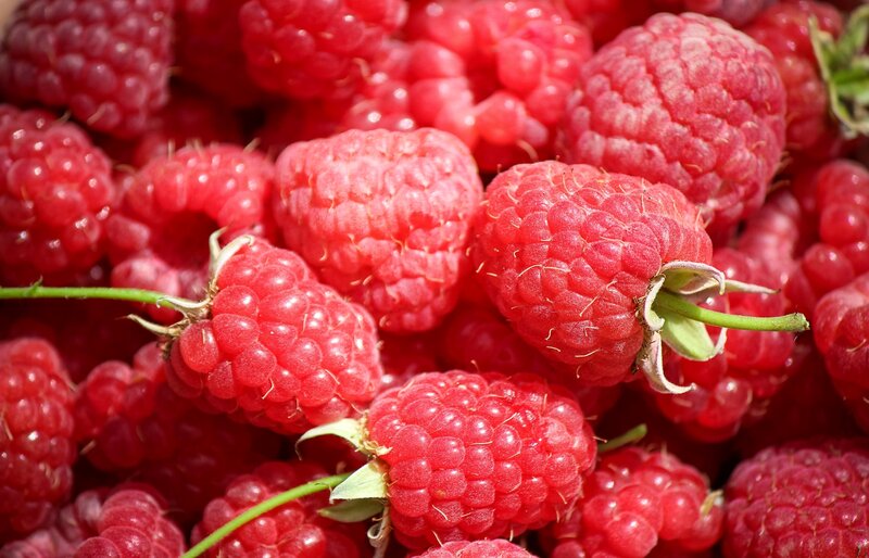 Fresh Red Raspberries — Natural