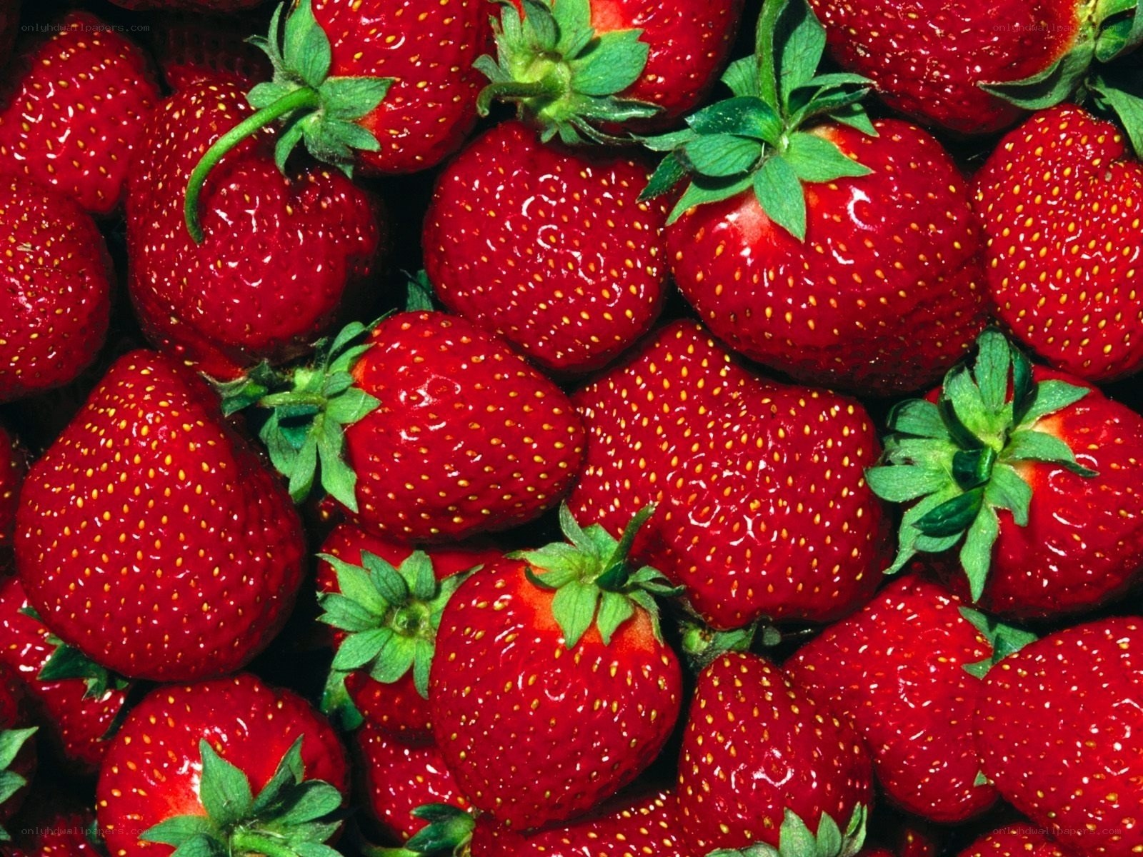 Fresh red strawberries