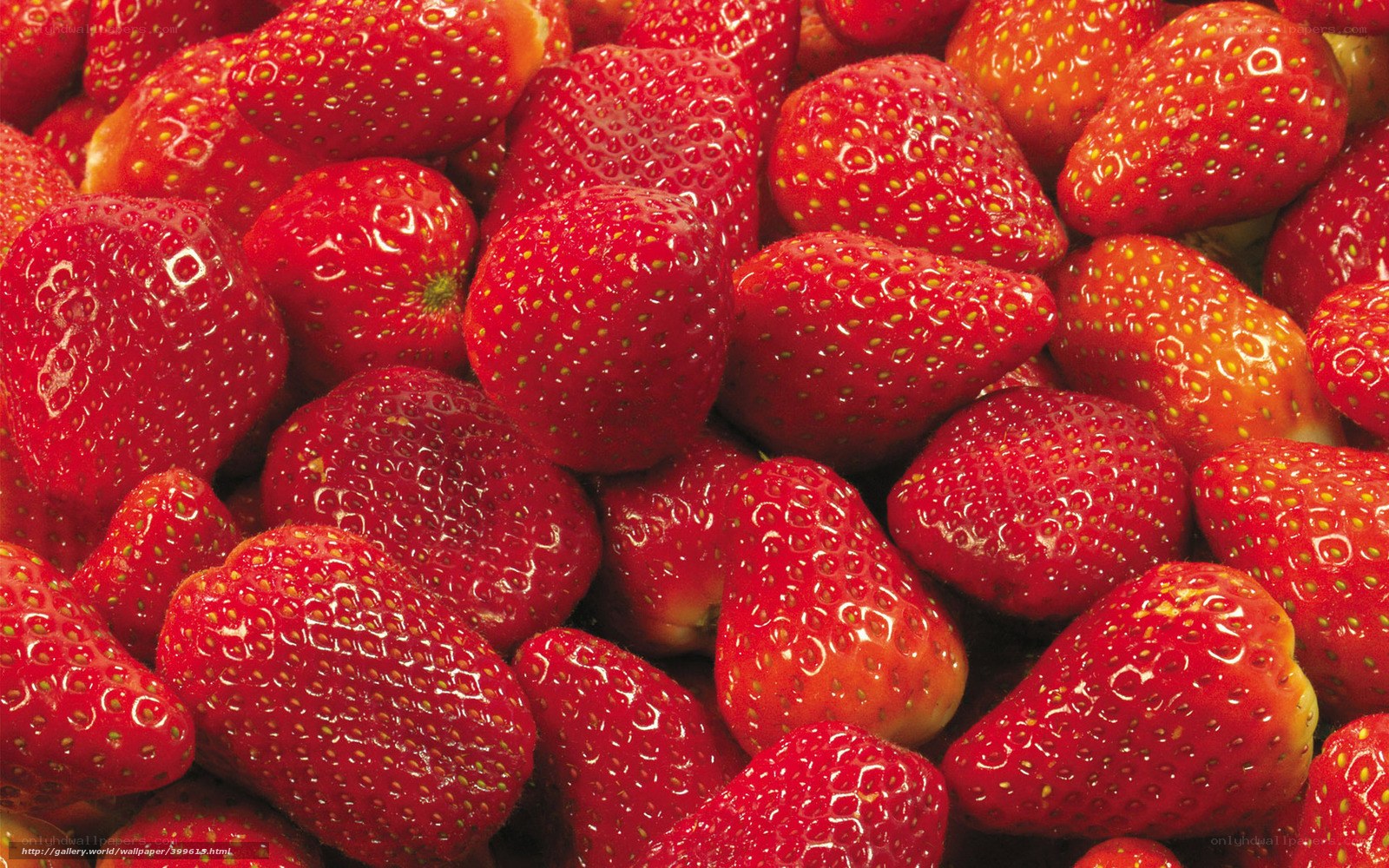 Fresh red strawberries