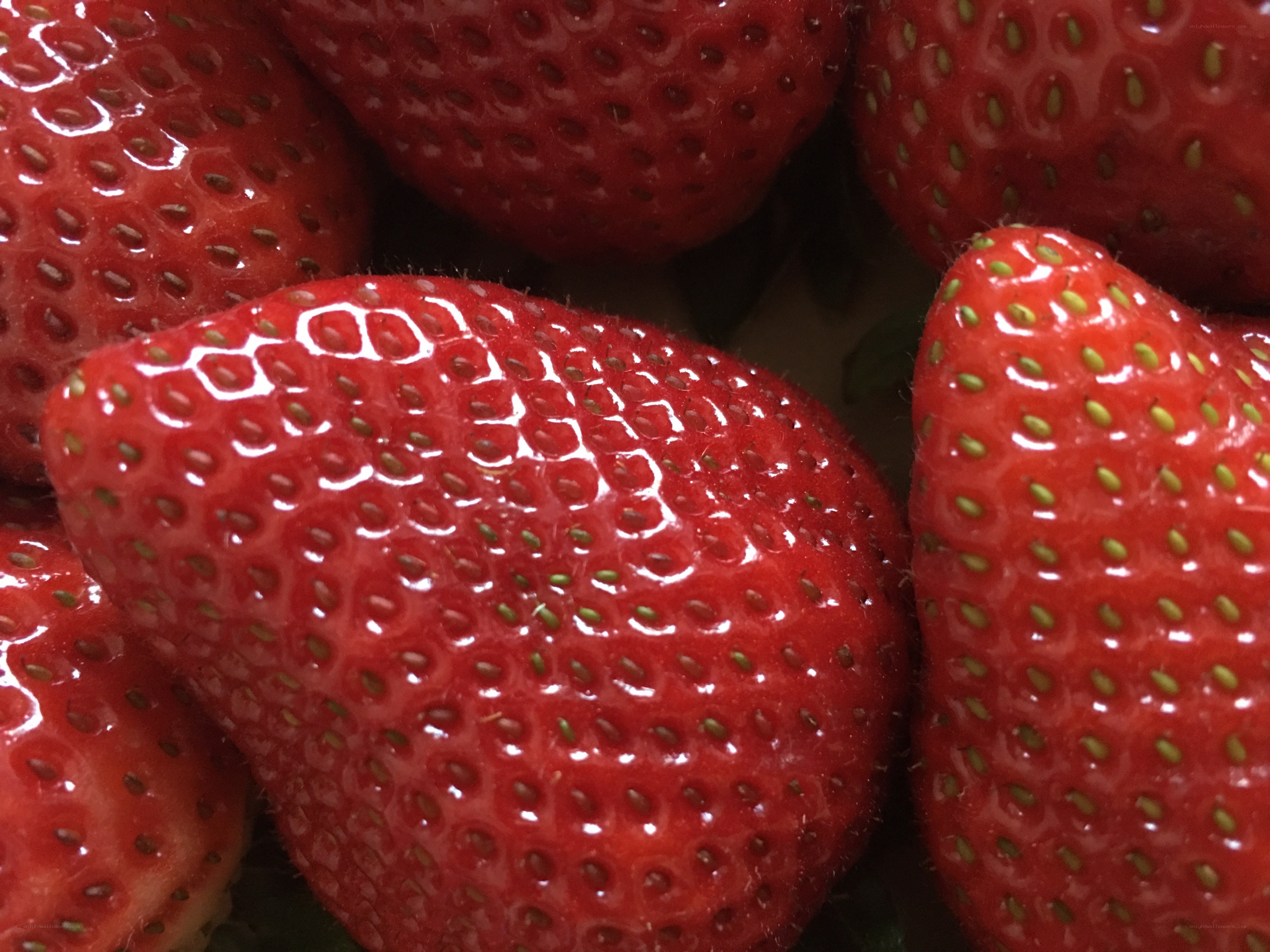 Fresh red strawberries