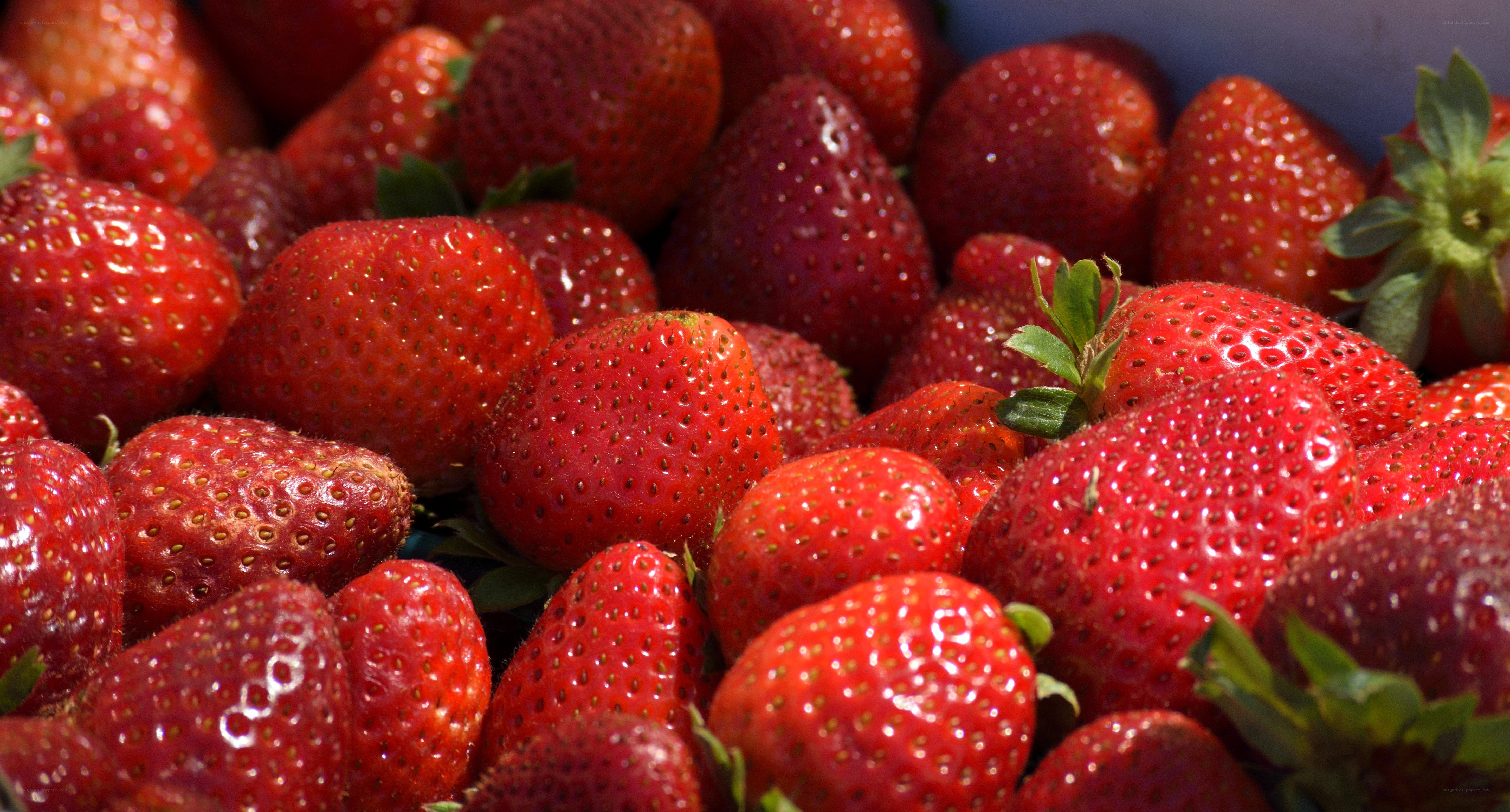 Fresh red strawberries