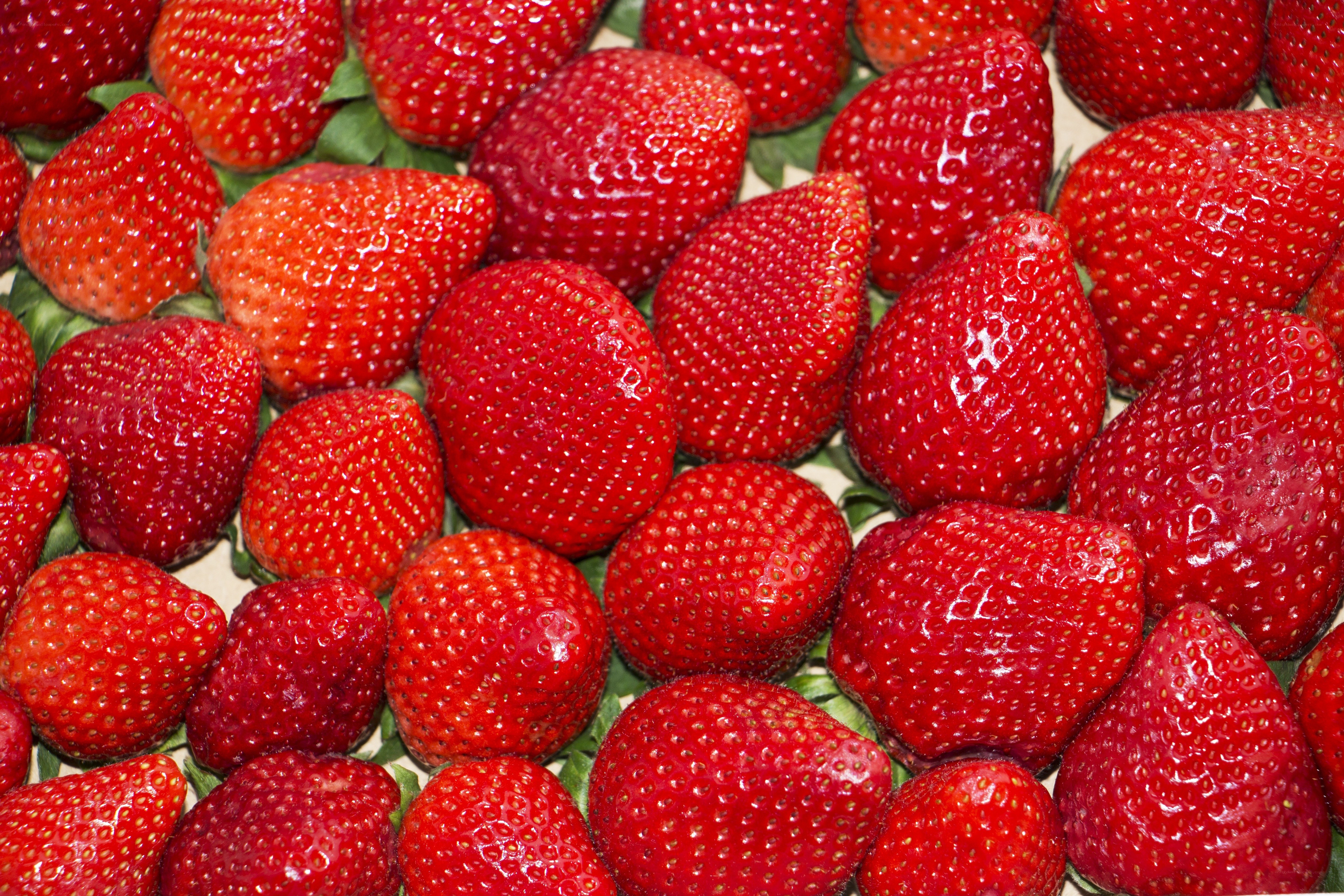 Fresh red strawberries