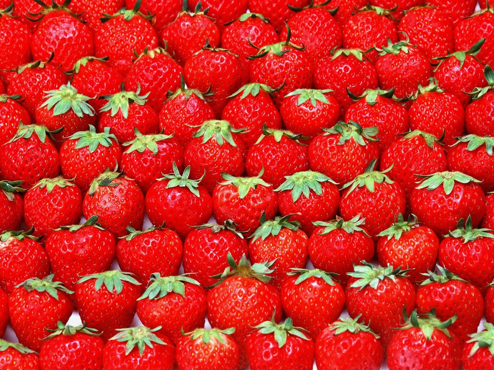Fresh red strawberries