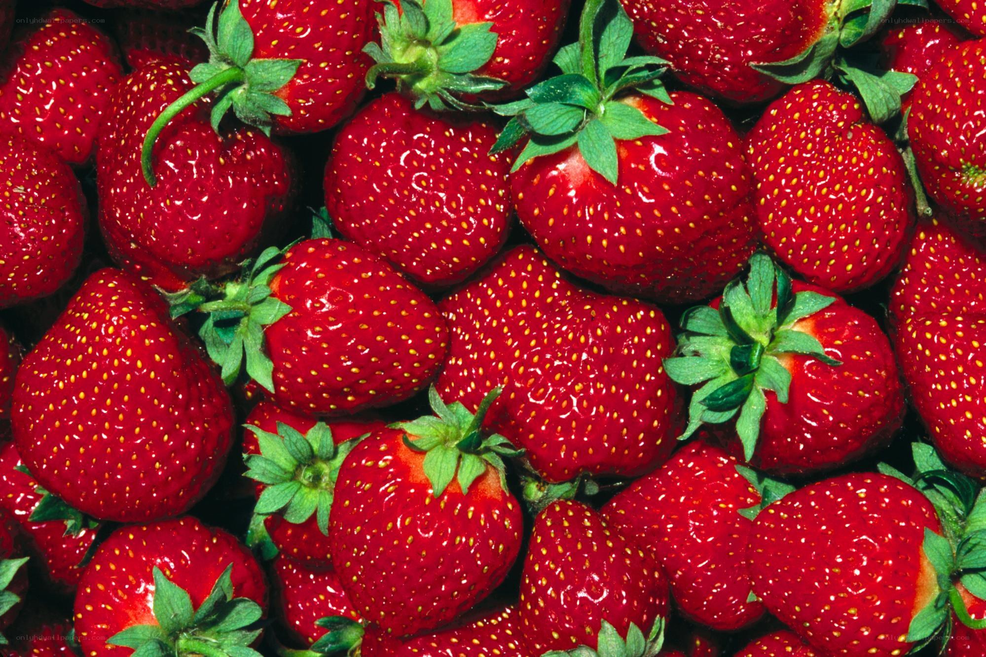 Fresh red strawberries