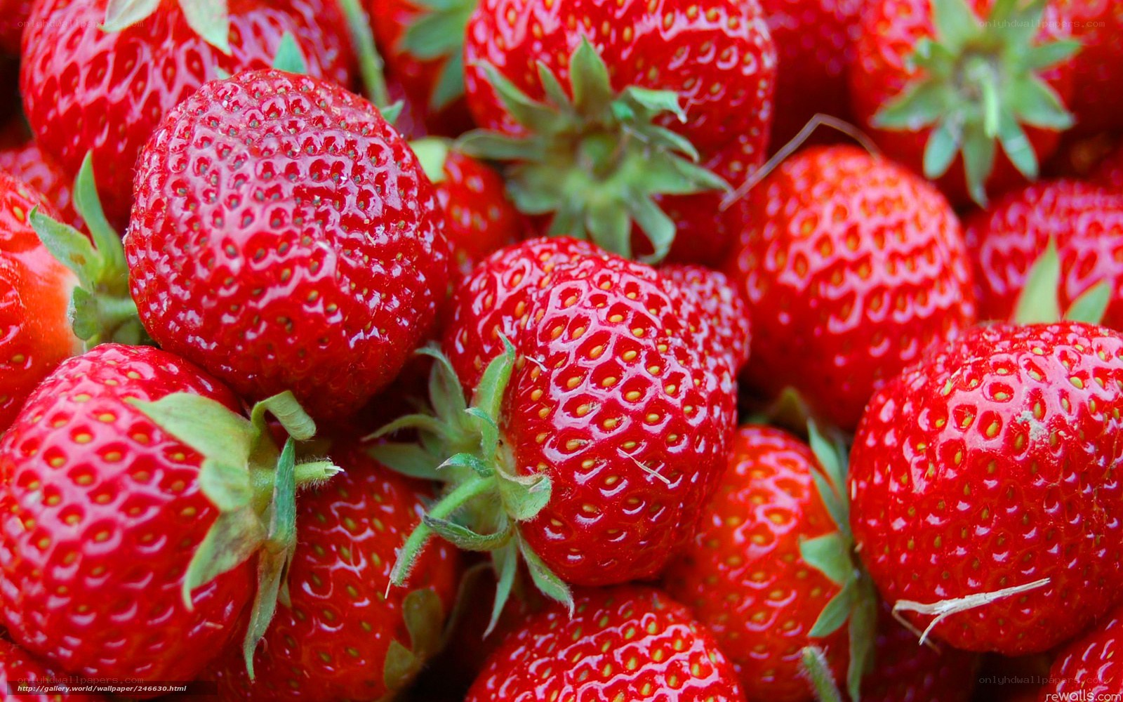 Fresh red strawberries