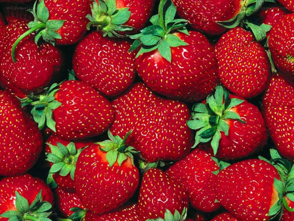 Fresh red strawberries