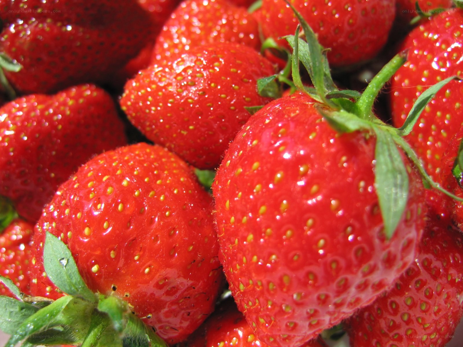 Fresh red strawberries
