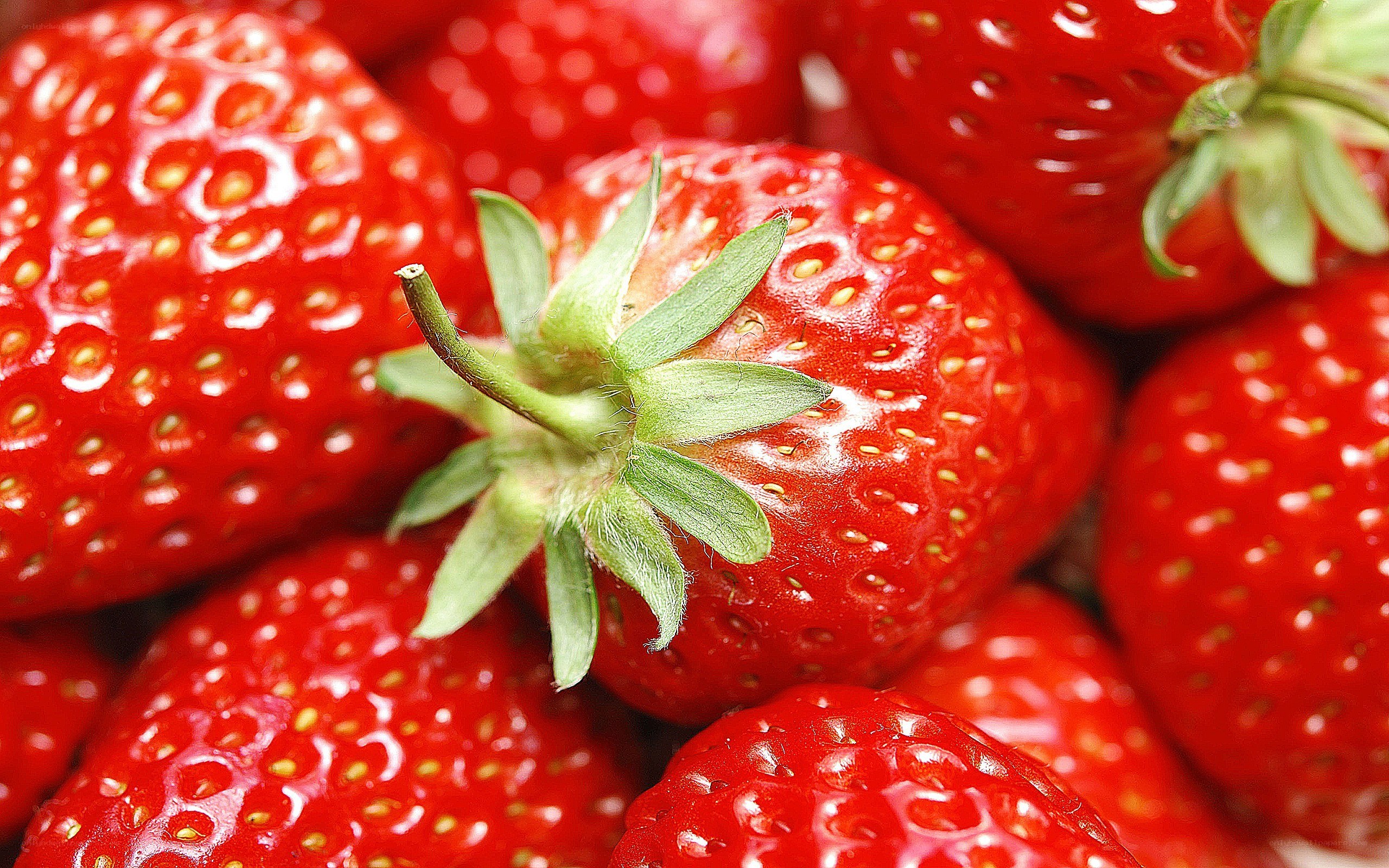 Fresh red strawberries