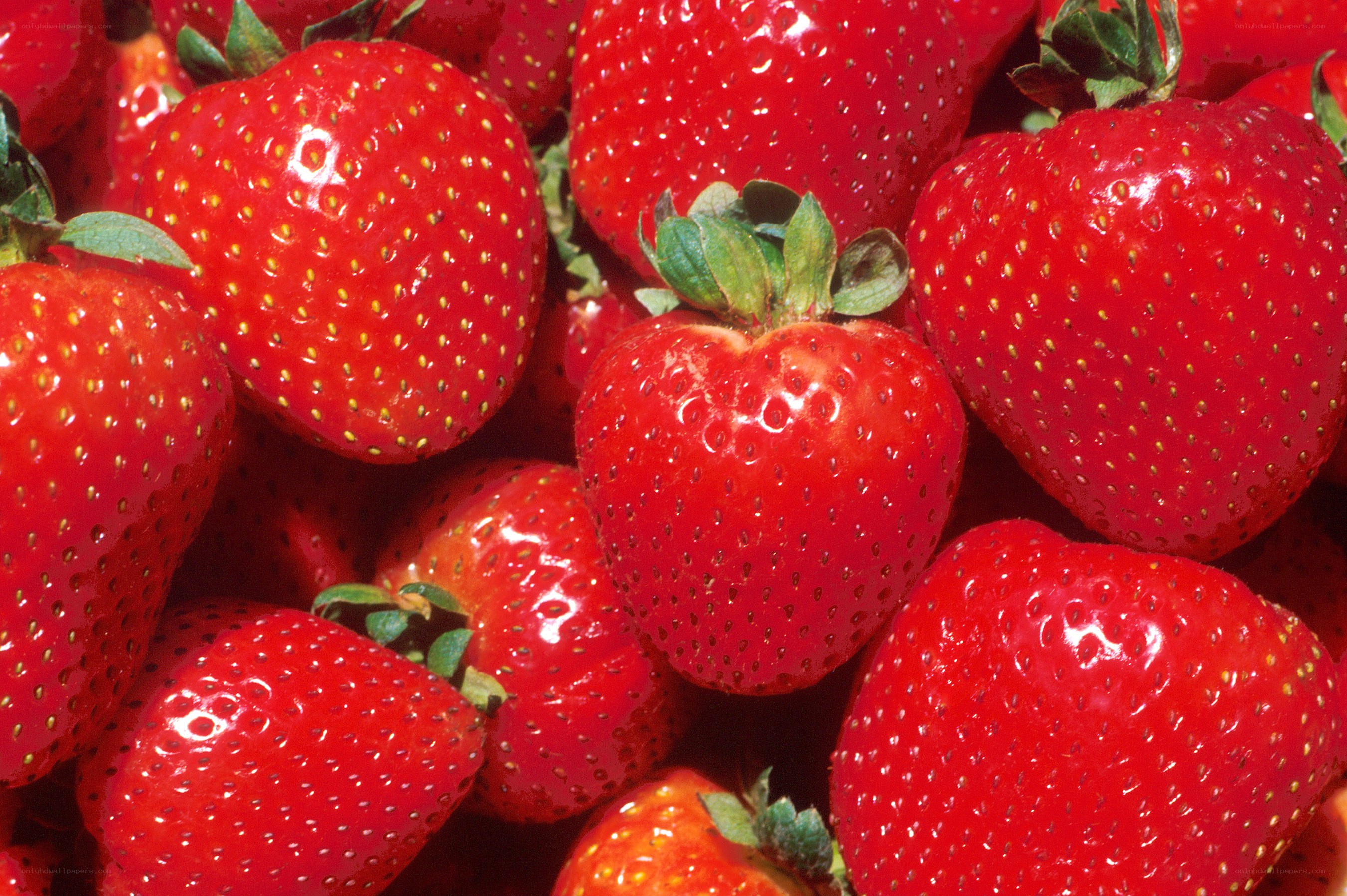 Fresh red strawberries