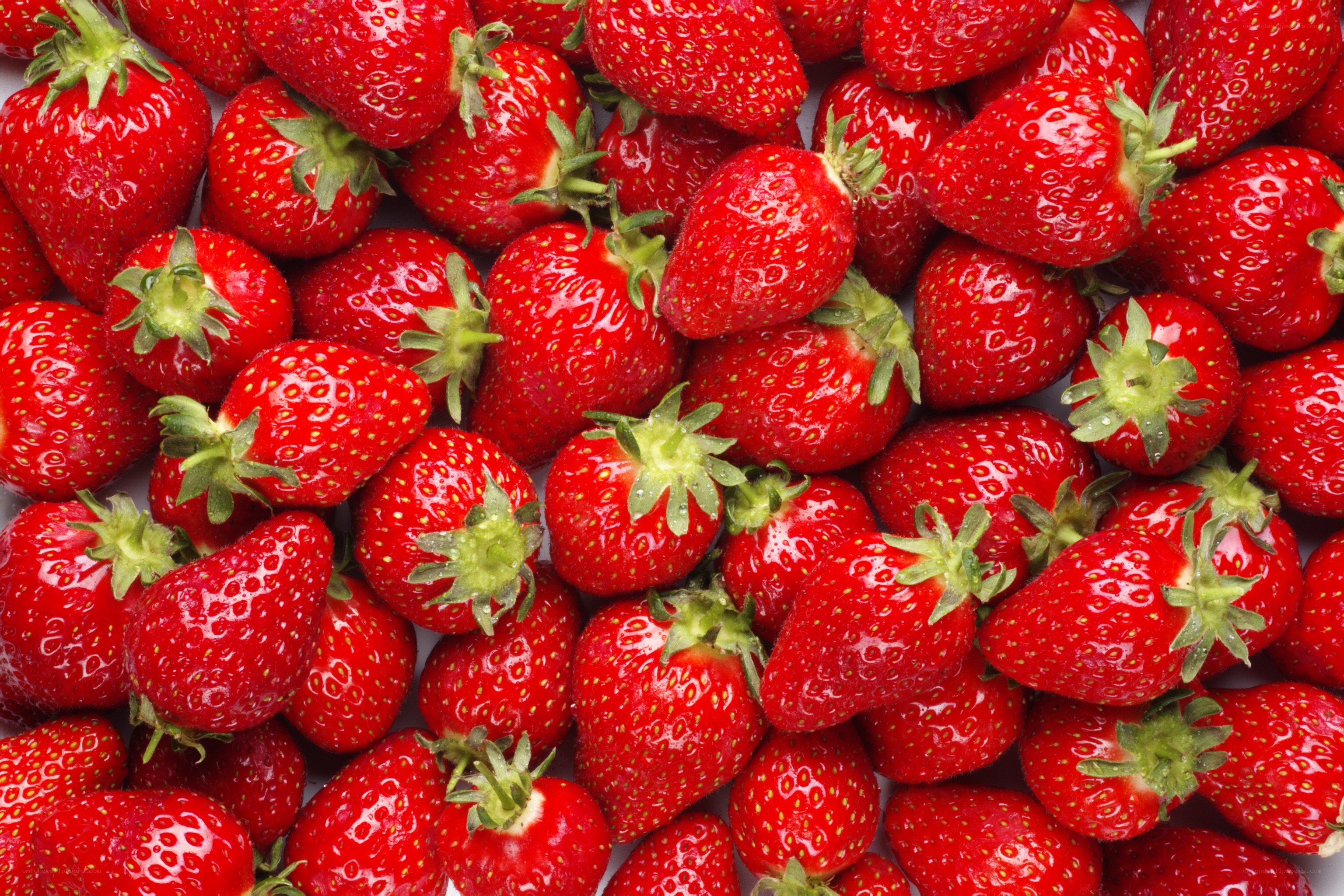 Fresh red strawberries