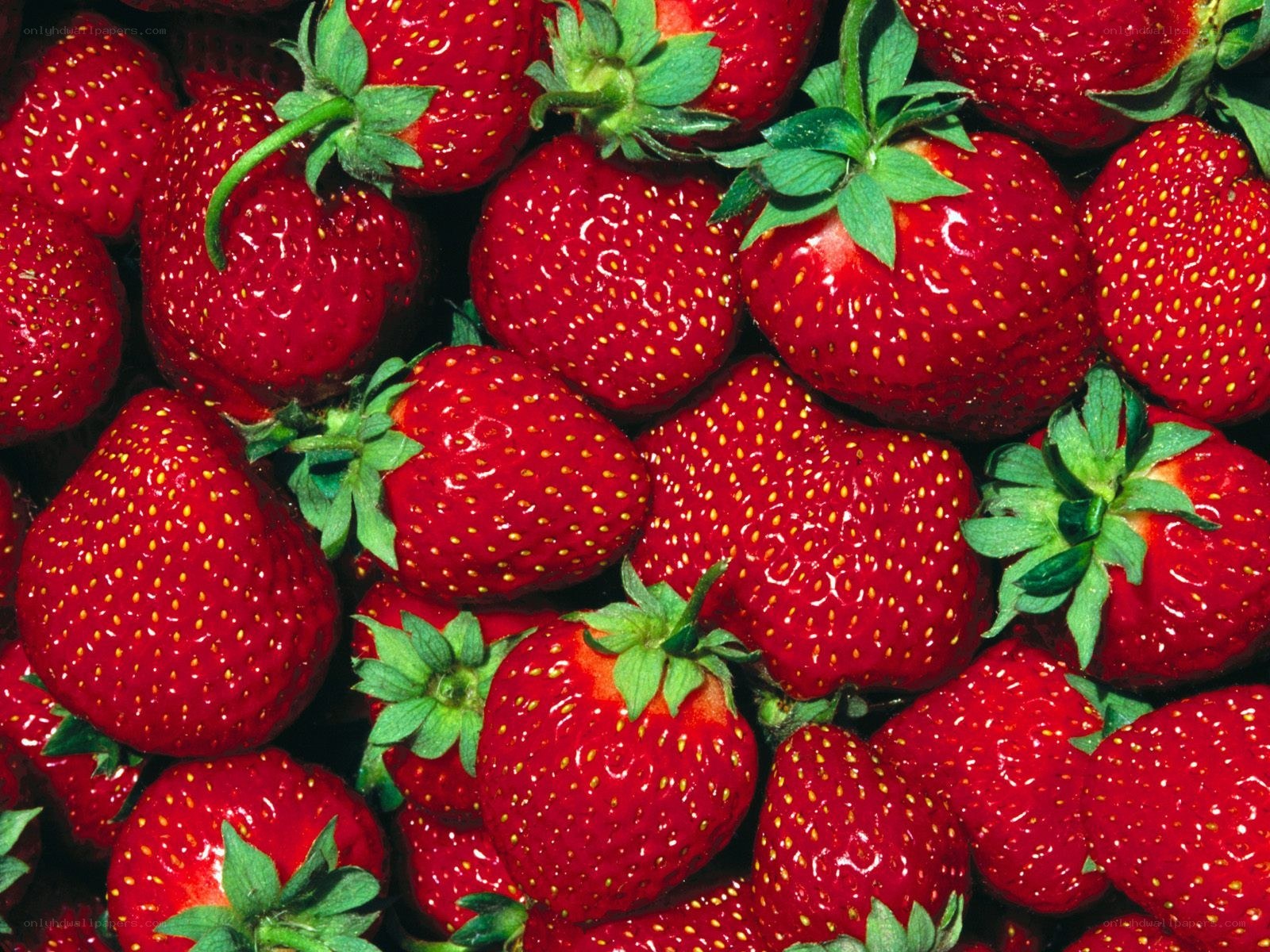 Fresh red strawberries