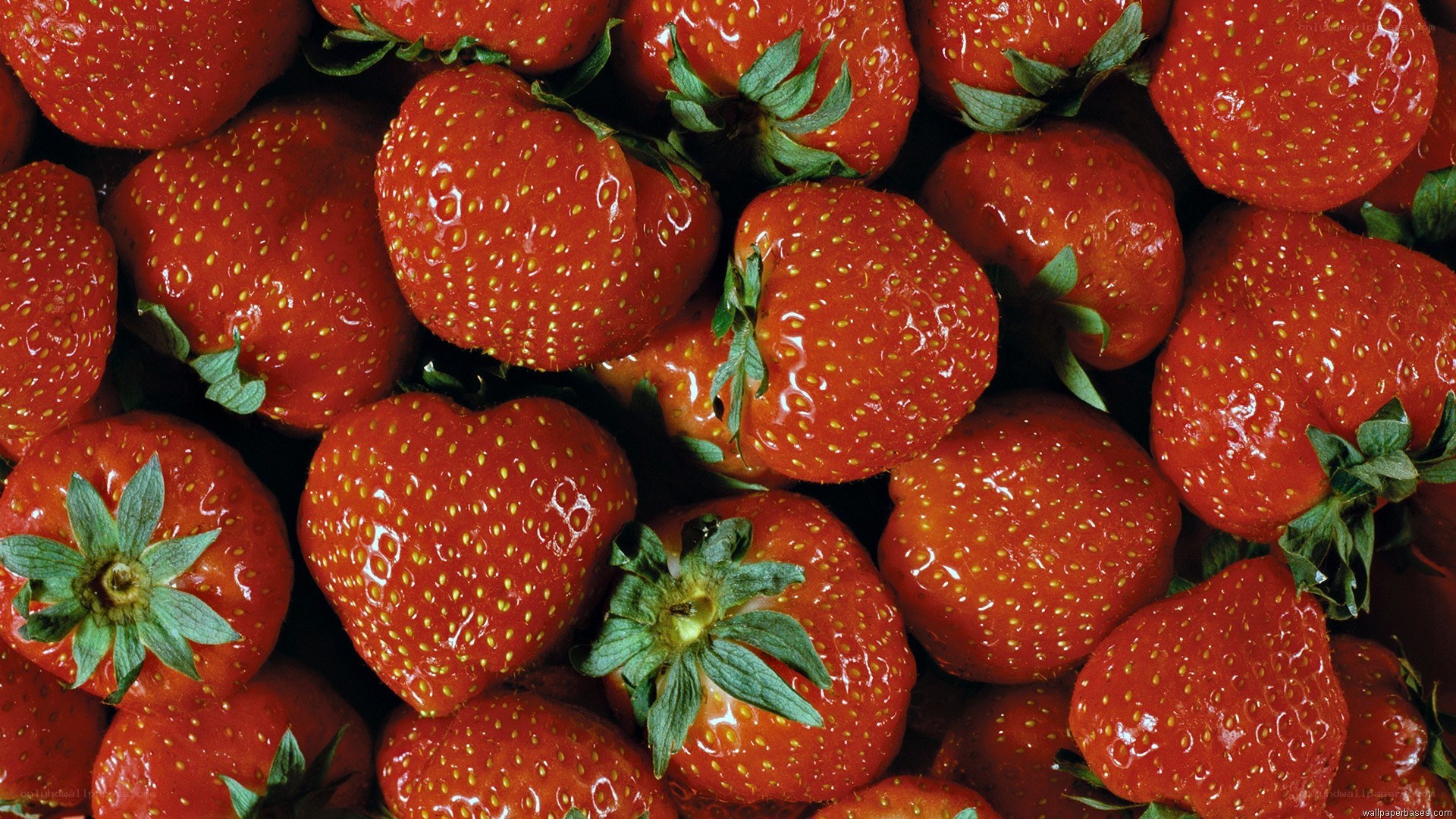 Fresh red strawberries