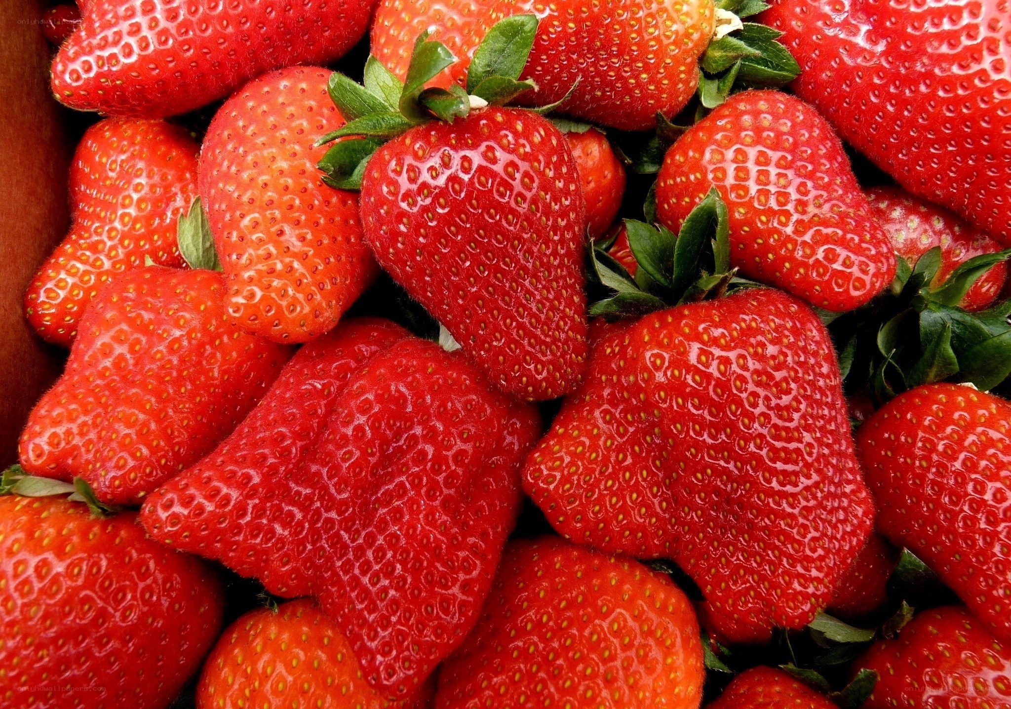 Fresh red strawberries