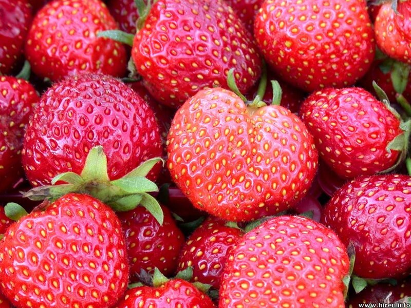 Fresh red strawberries
