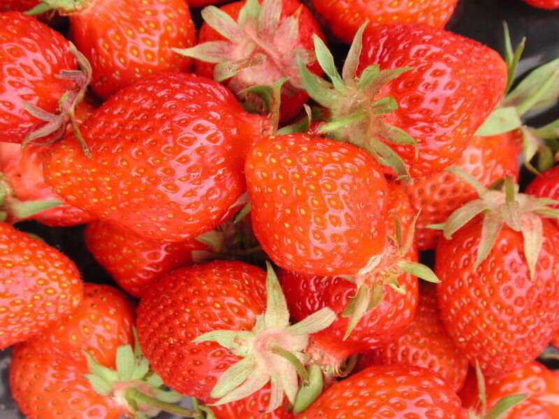 Fresh red strawberries