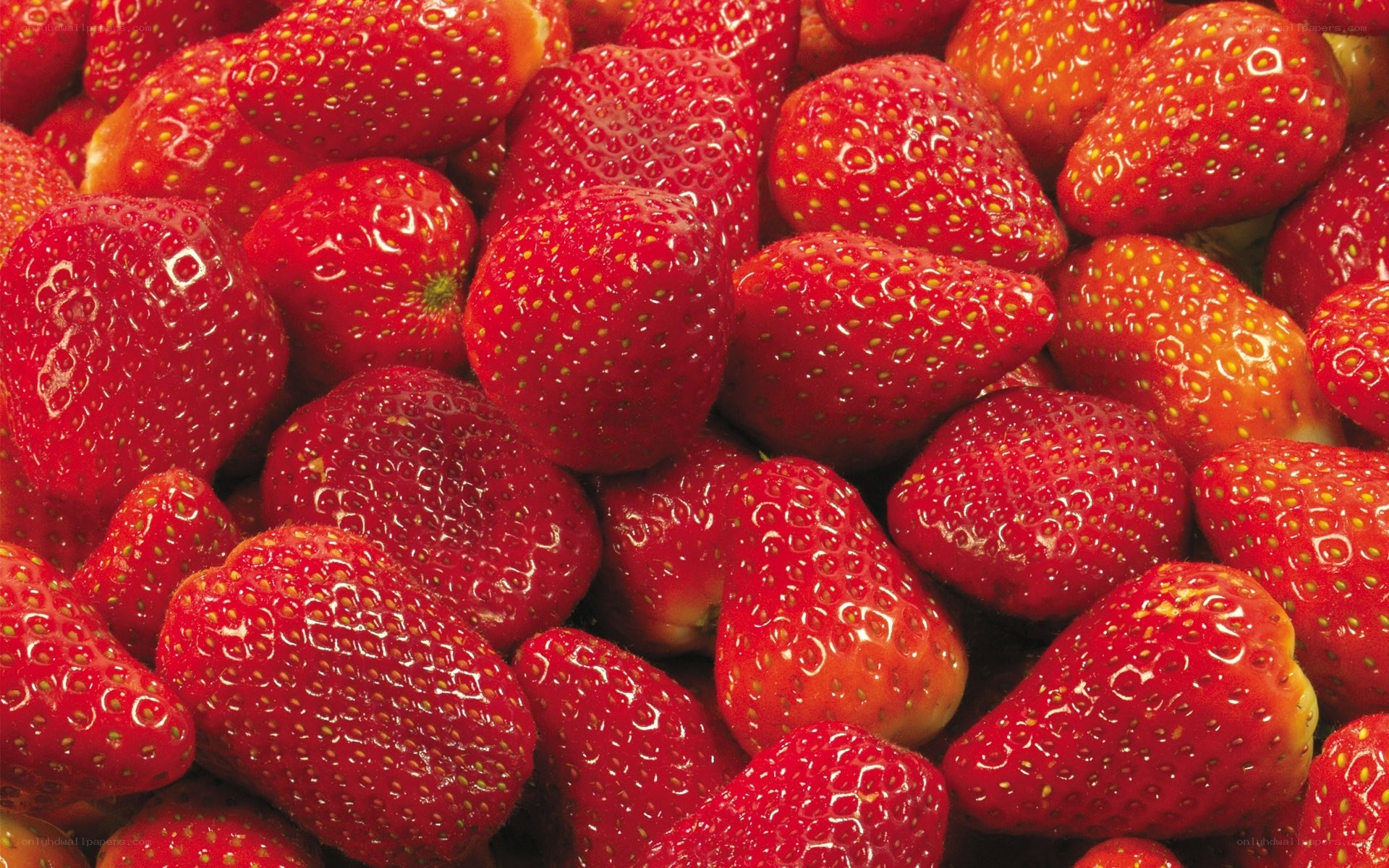 Fresh red strawberries