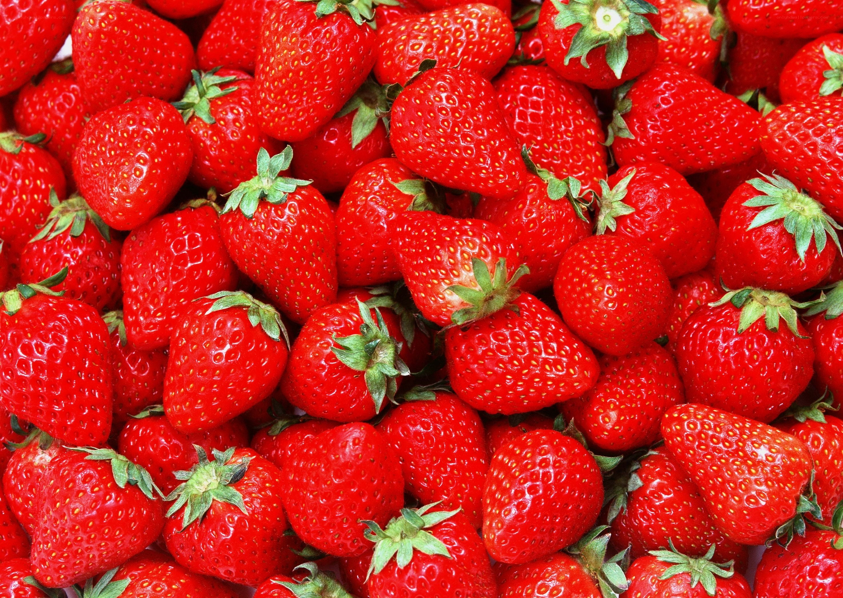 Fresh red strawberries