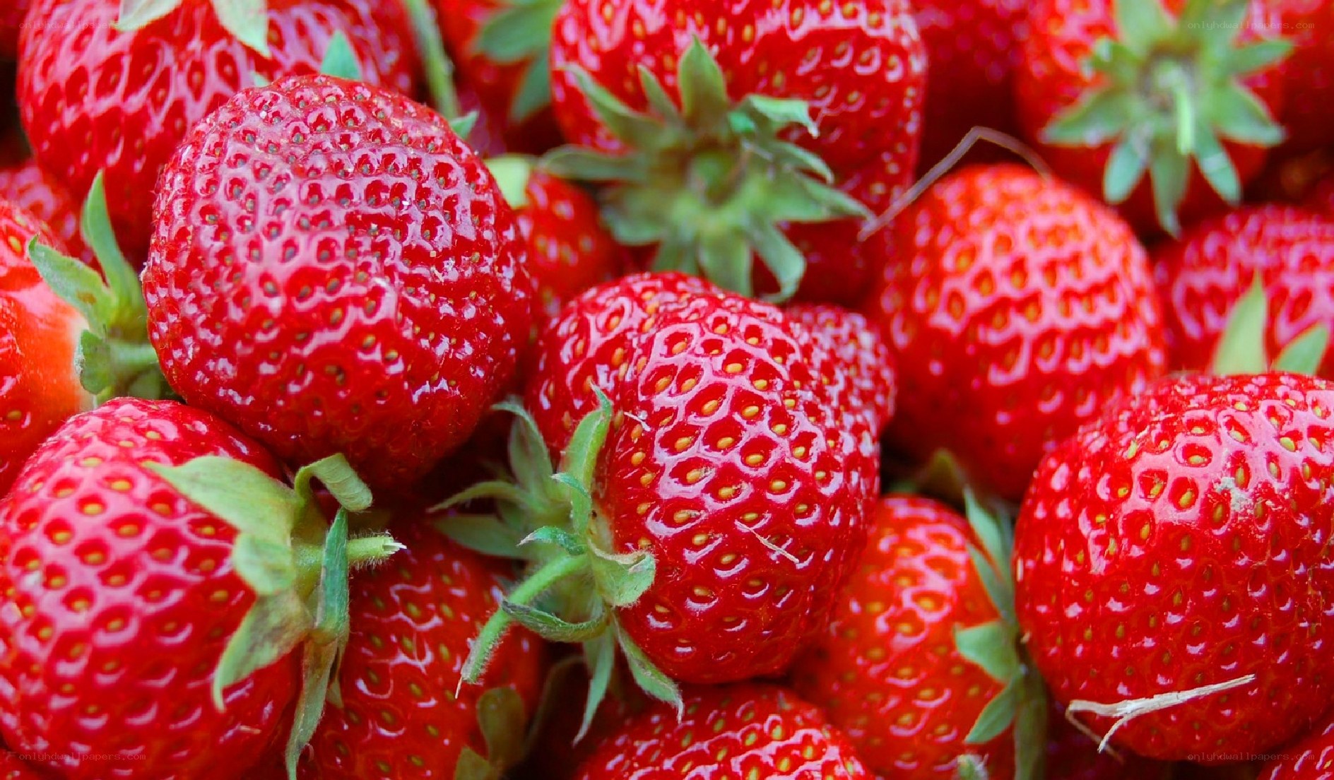 Fresh red strawberries