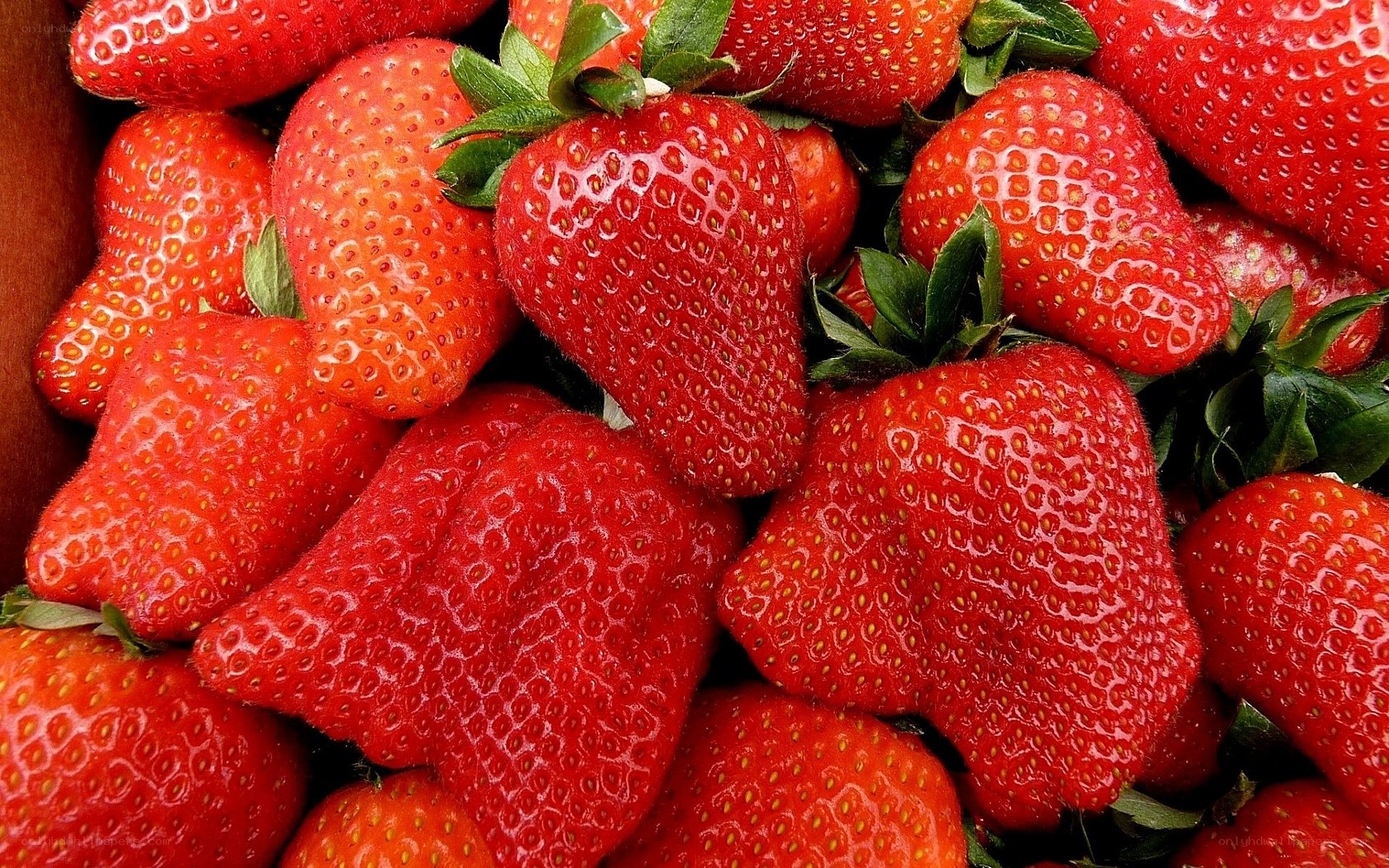 Fresh red strawberries