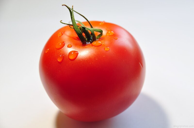 fresh red tomato with water droplets