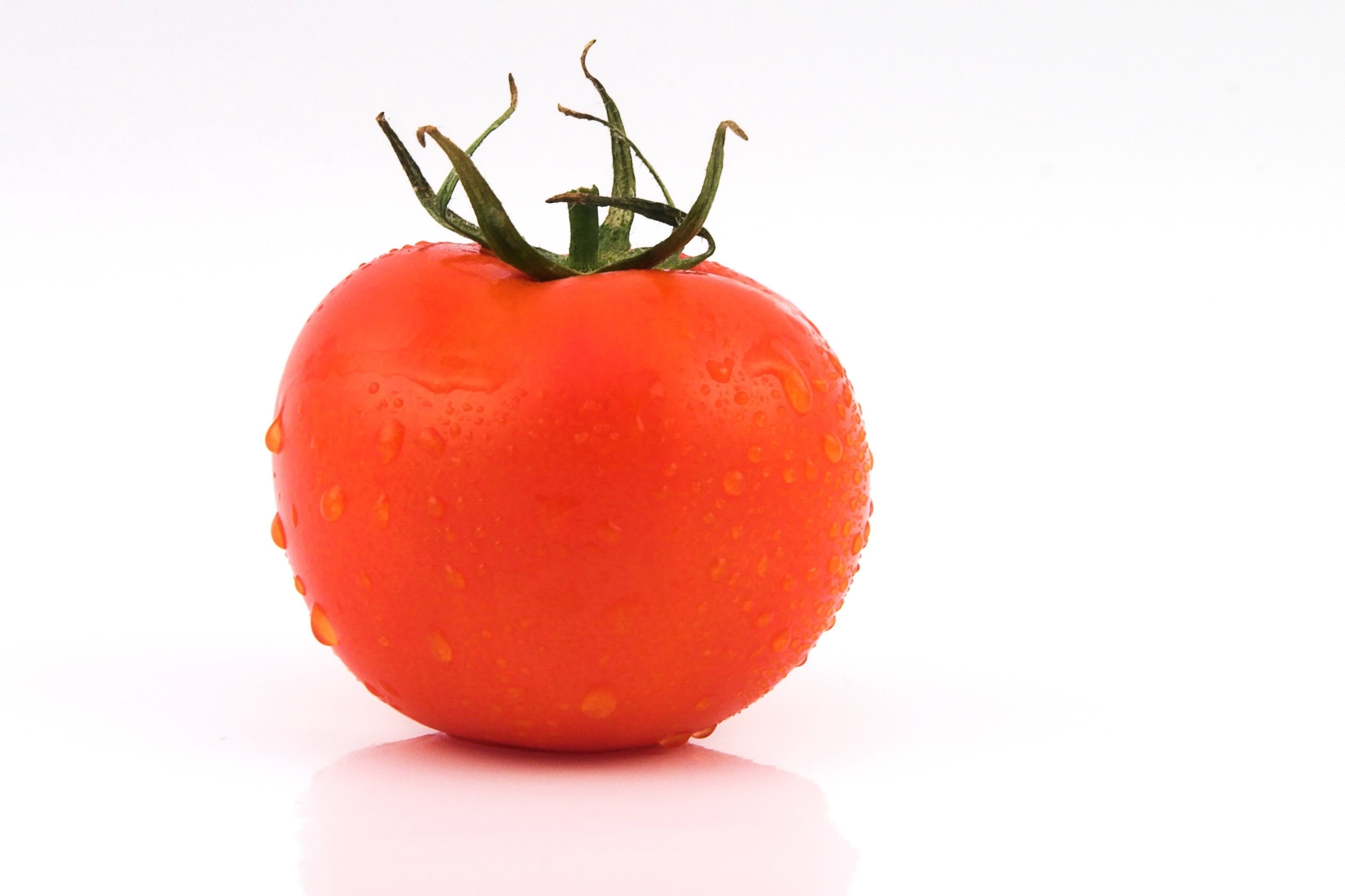 fresh red tomato with water droplets