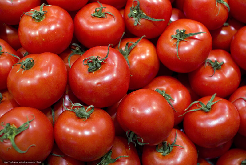 Fresh red tomatoes in a pile