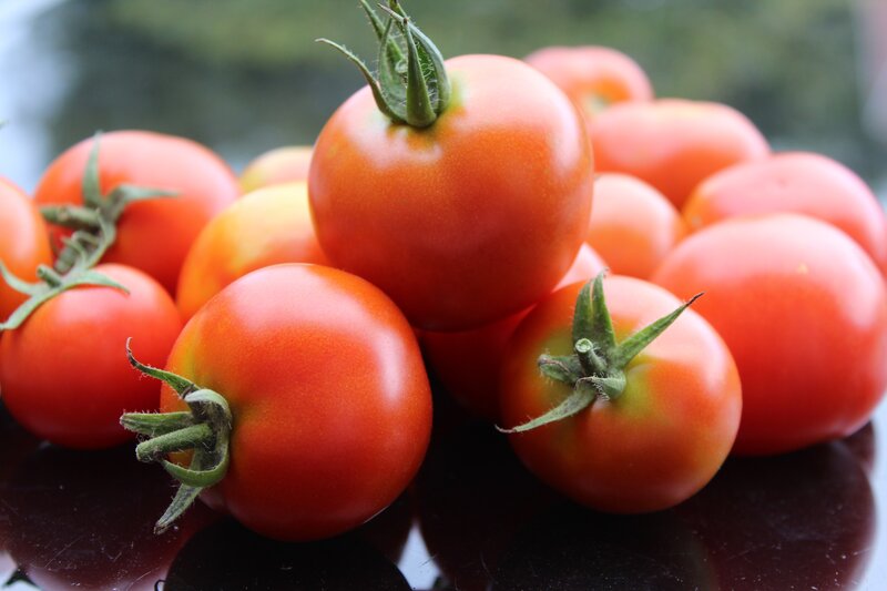 Fresh red tomatoes on display