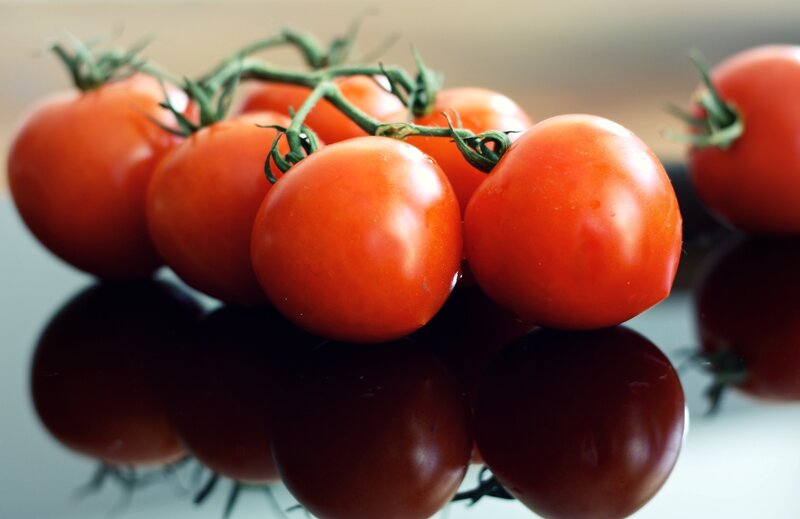 Fresh red tomatoes on vine
