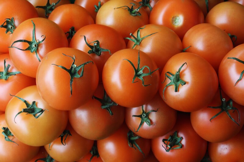 Fresh red tomatoes