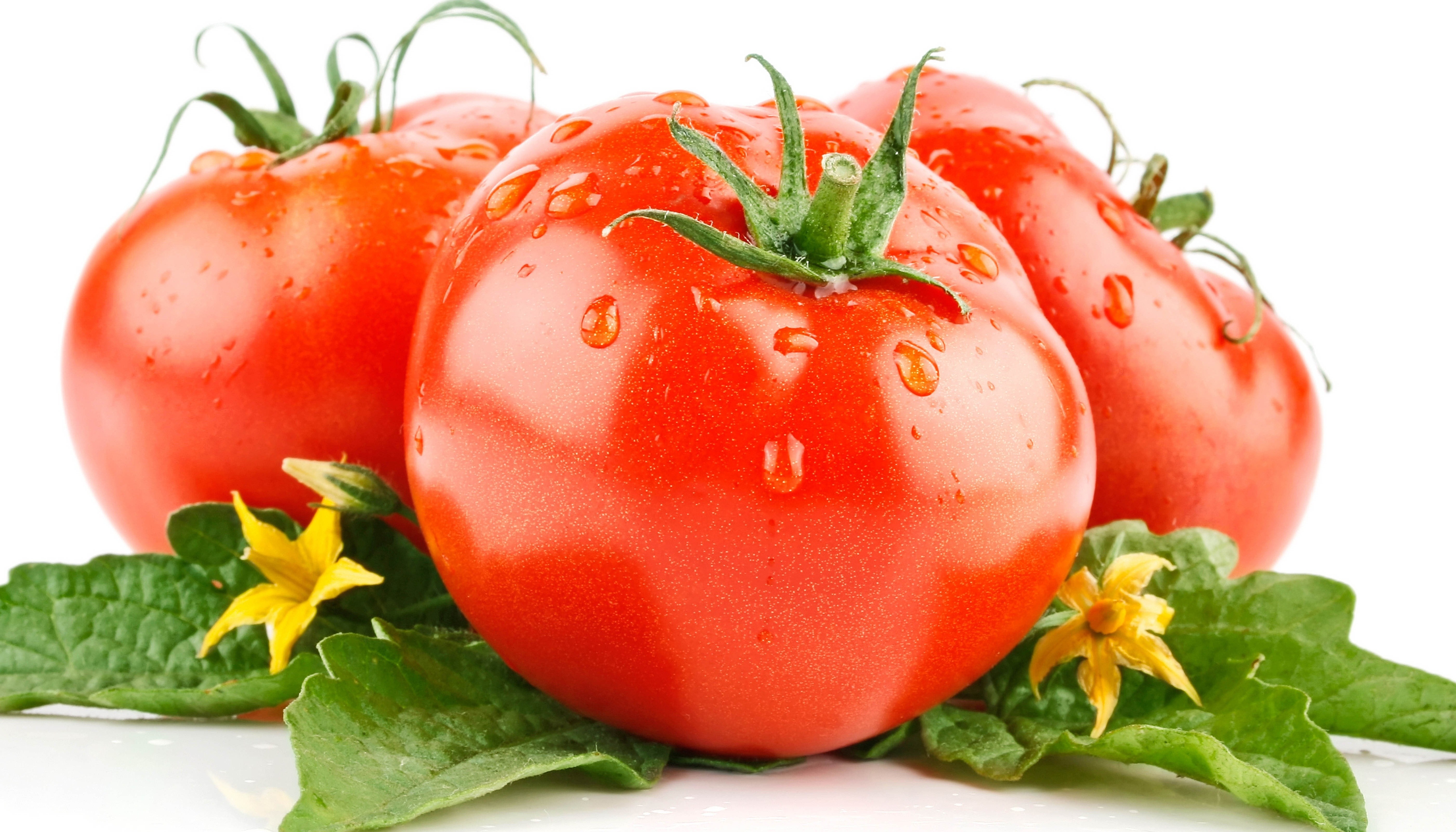 Fresh red tomatoes with leaves