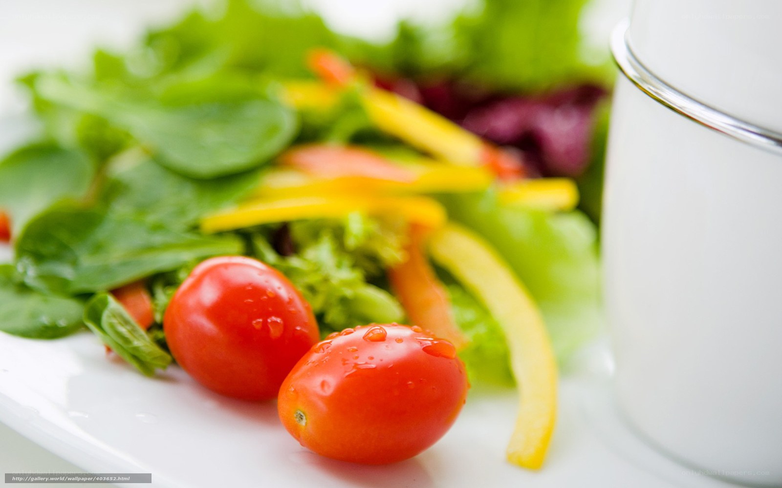 fresh salad with cherry tomatoes