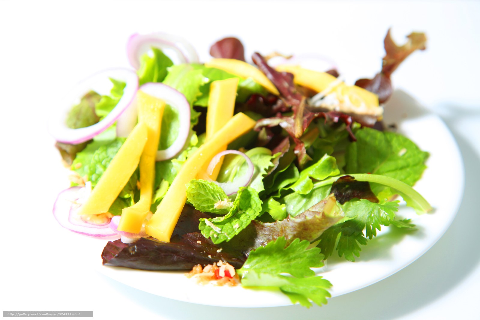 fresh salad with mango and herbs