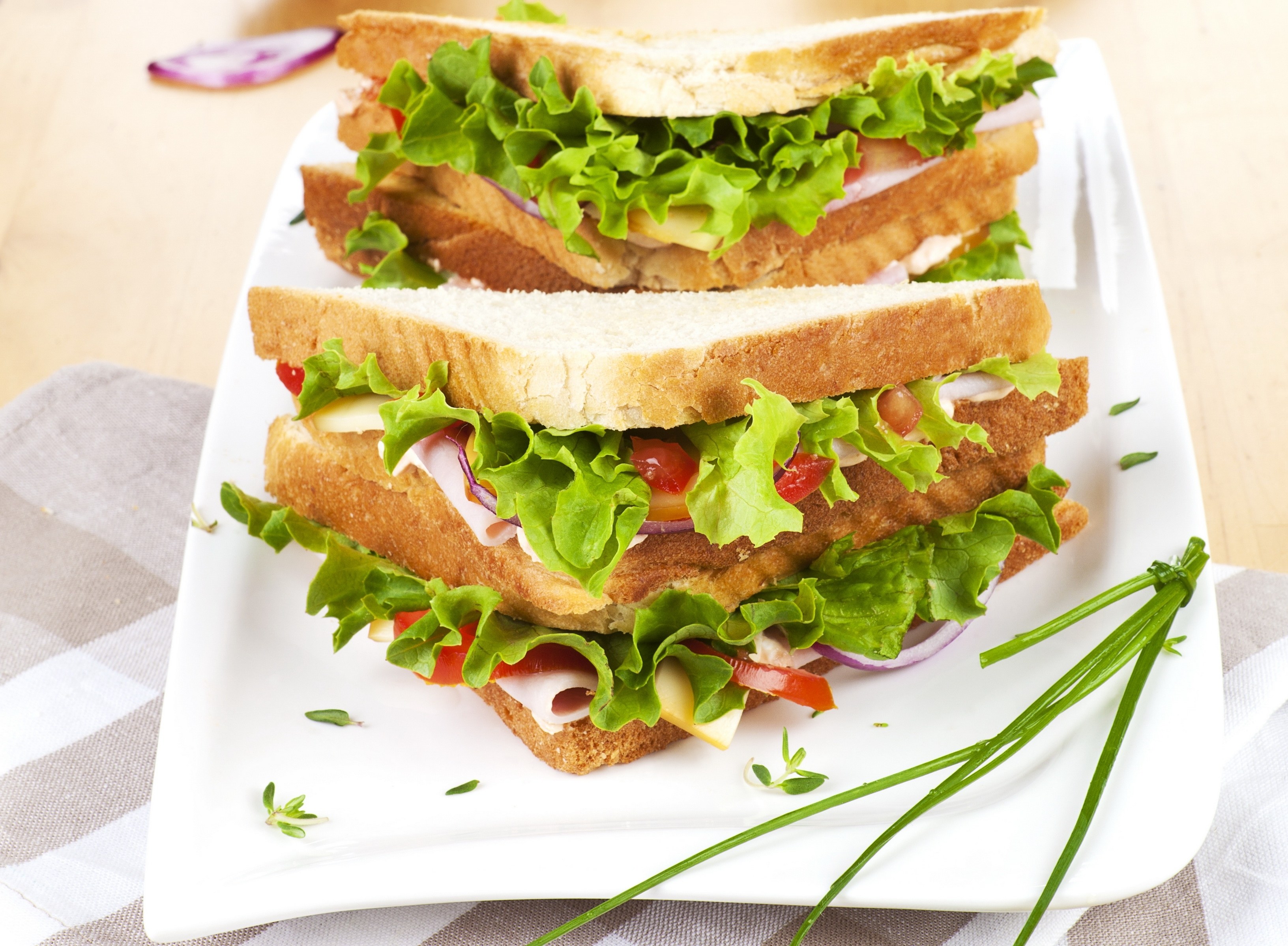 Fresh sandwich with lettuce and tomato