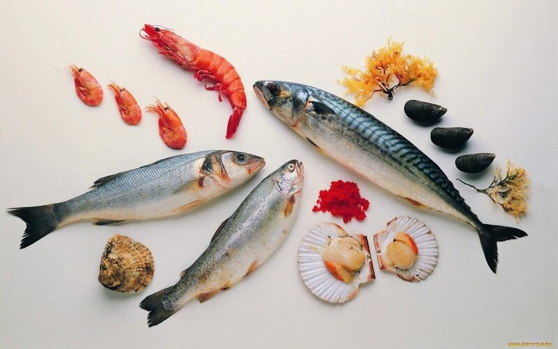 Fresh seafood assortment
