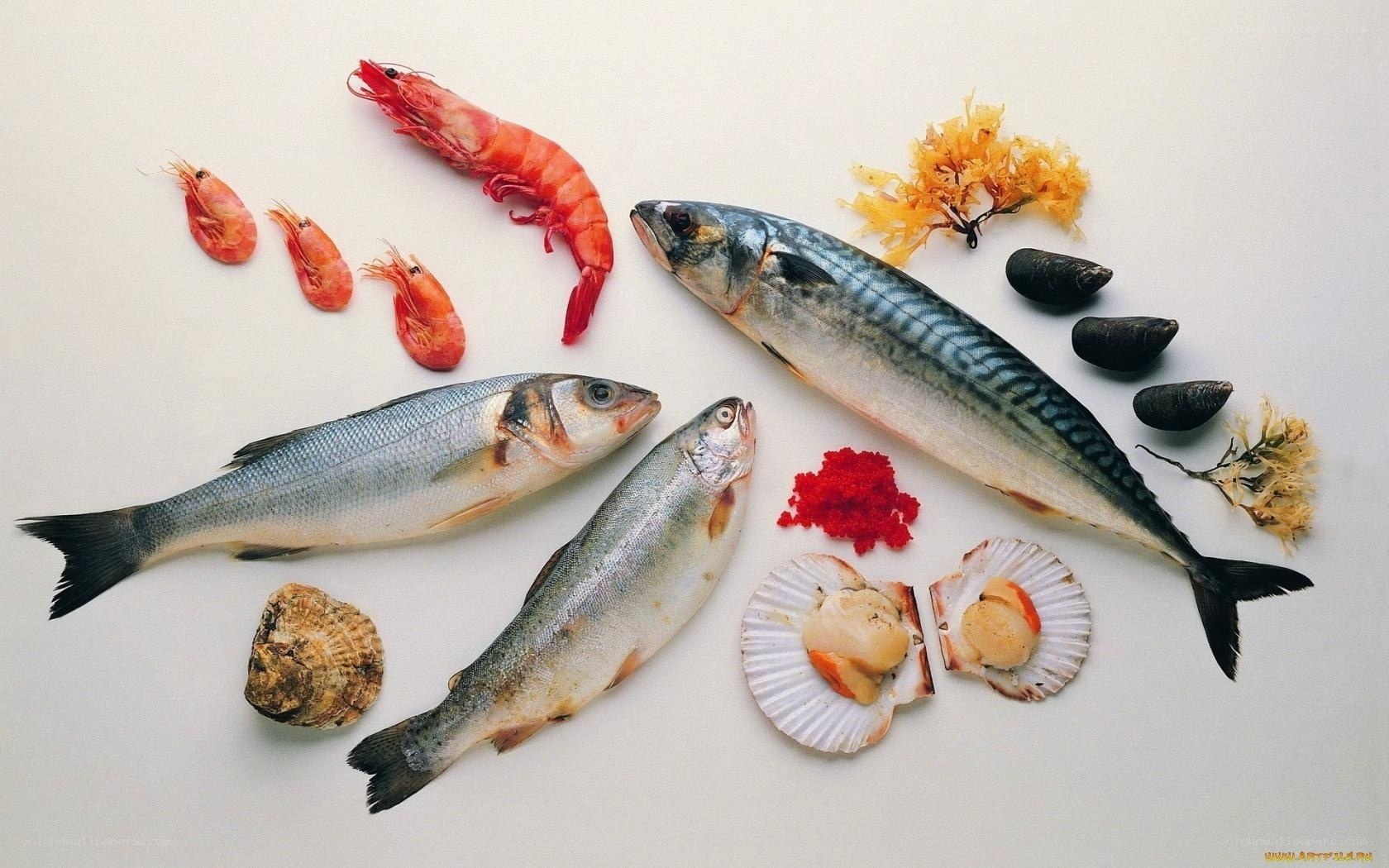 Fresh seafood assortment