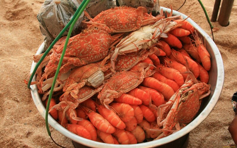Fresh seafood in a bucket