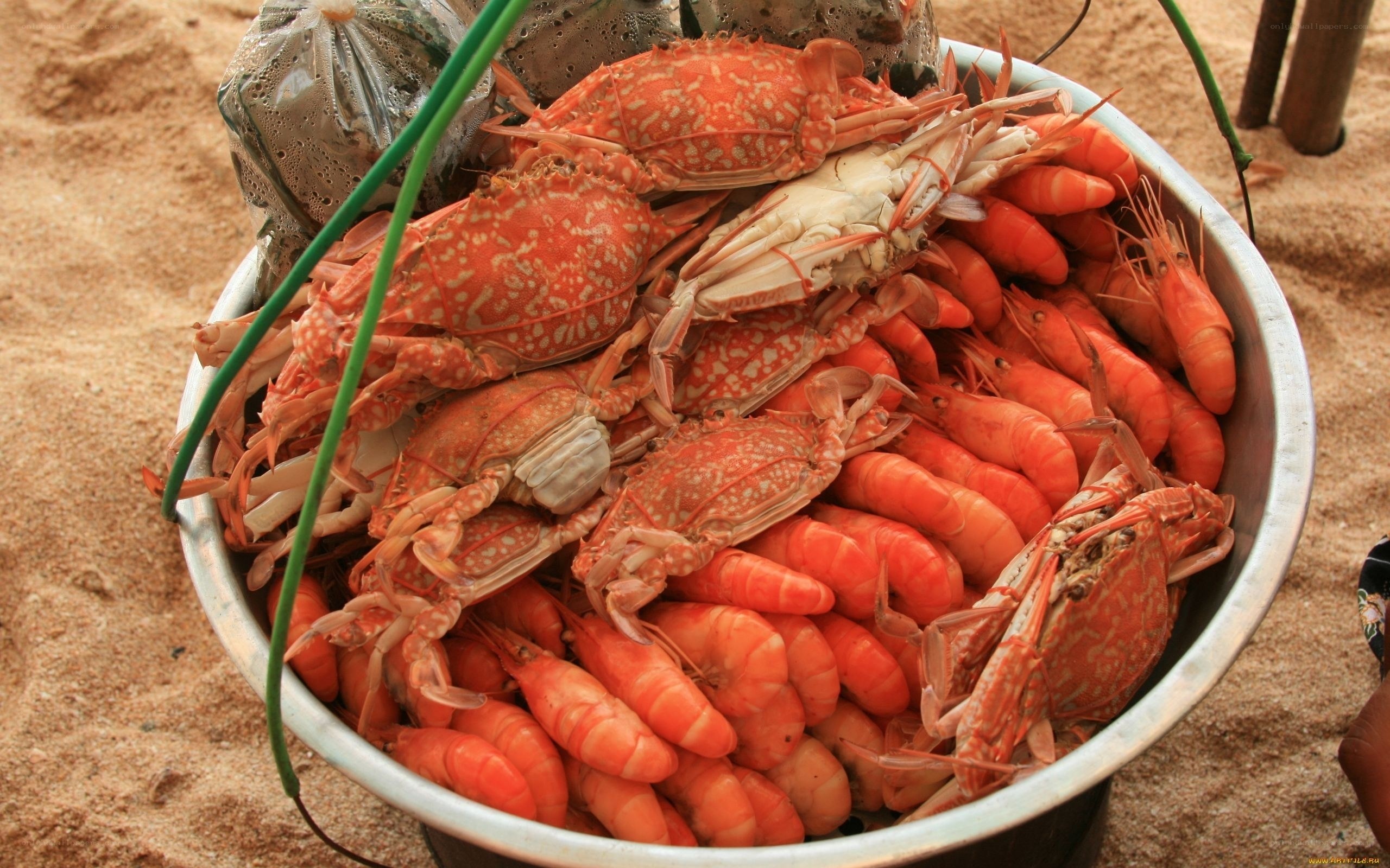 Fresh seafood in a bucket