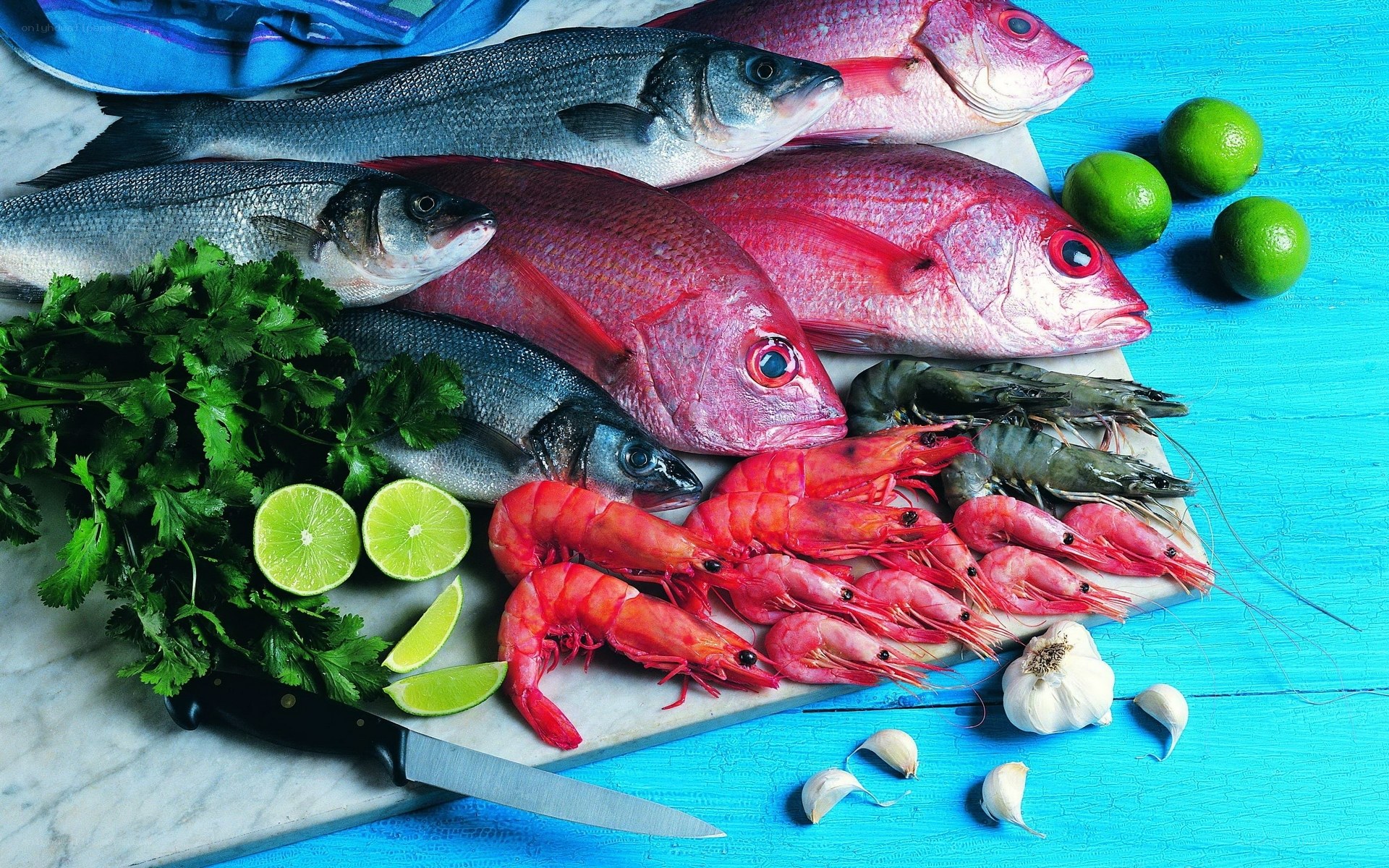 Fresh seafood on a blue table